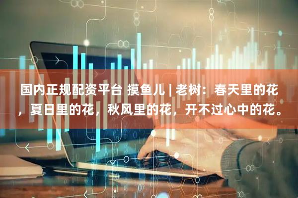国内正规配资平台 摸鱼儿 | 老树：春天里的花，夏日里的花，秋风里的花，开不过心中的花。