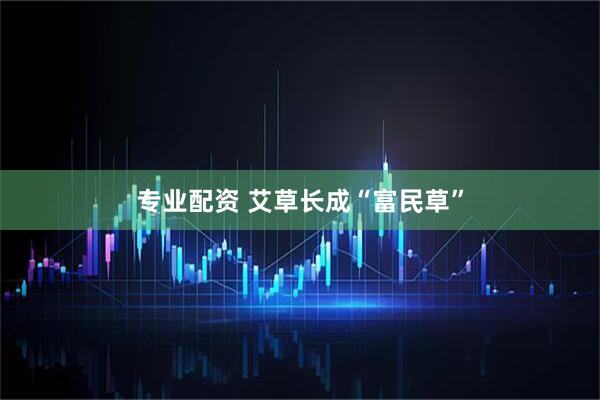 专业配资 艾草长成“富民草”