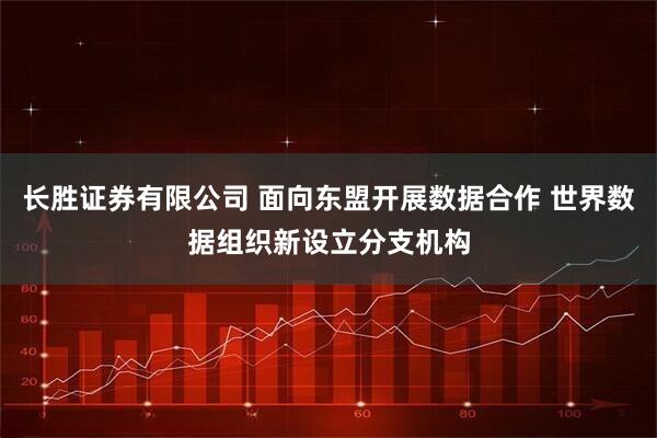 长胜证券有限公司 面向东盟开展数据合作 世界数据组织新设立分支机构