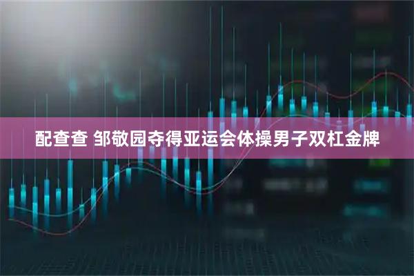 配查查 邹敬园夺得亚运会体操男子双杠金牌